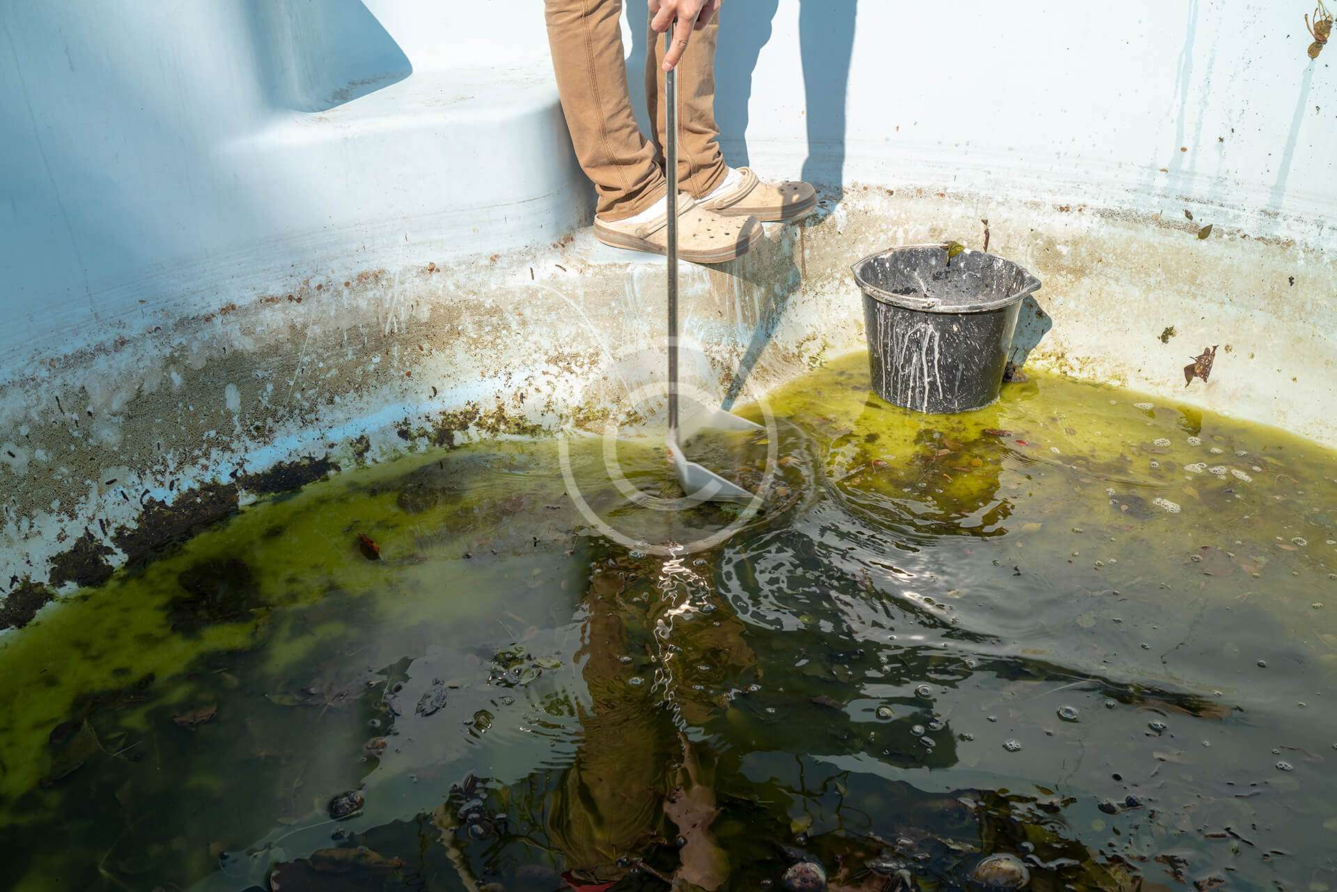 Pool Cleaning